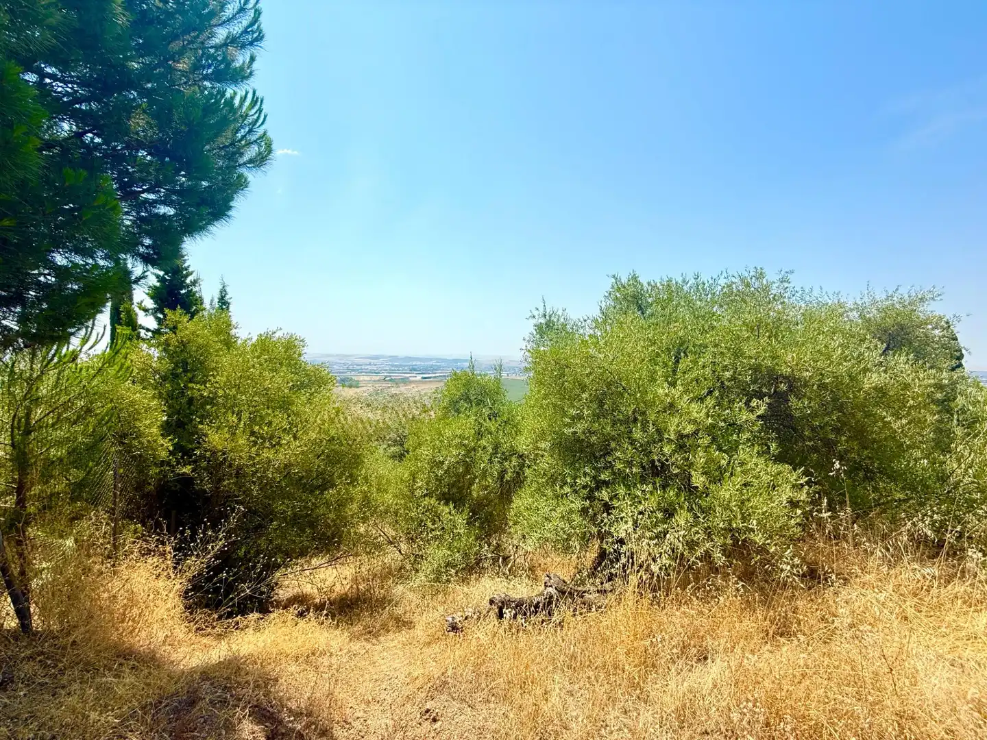 Grundstücke und Bauplätze zum Verkauf in Poniente-Norte - Miralbaida - Parque Azahara, imagen 3