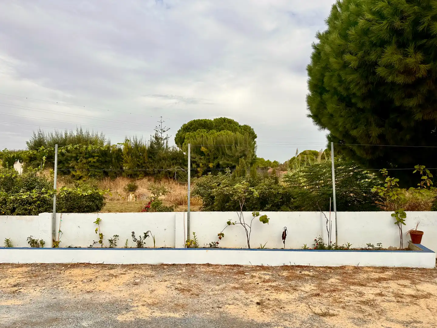 Country homes for sale in Lepe, Huelva