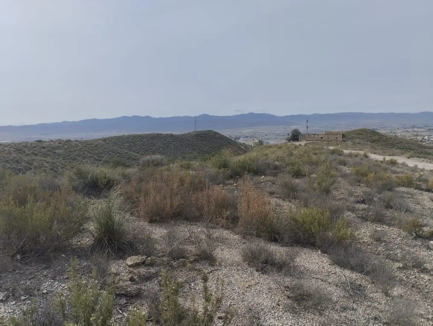 Terreno rustico in vendita a Pedanías Centro, imagen 9