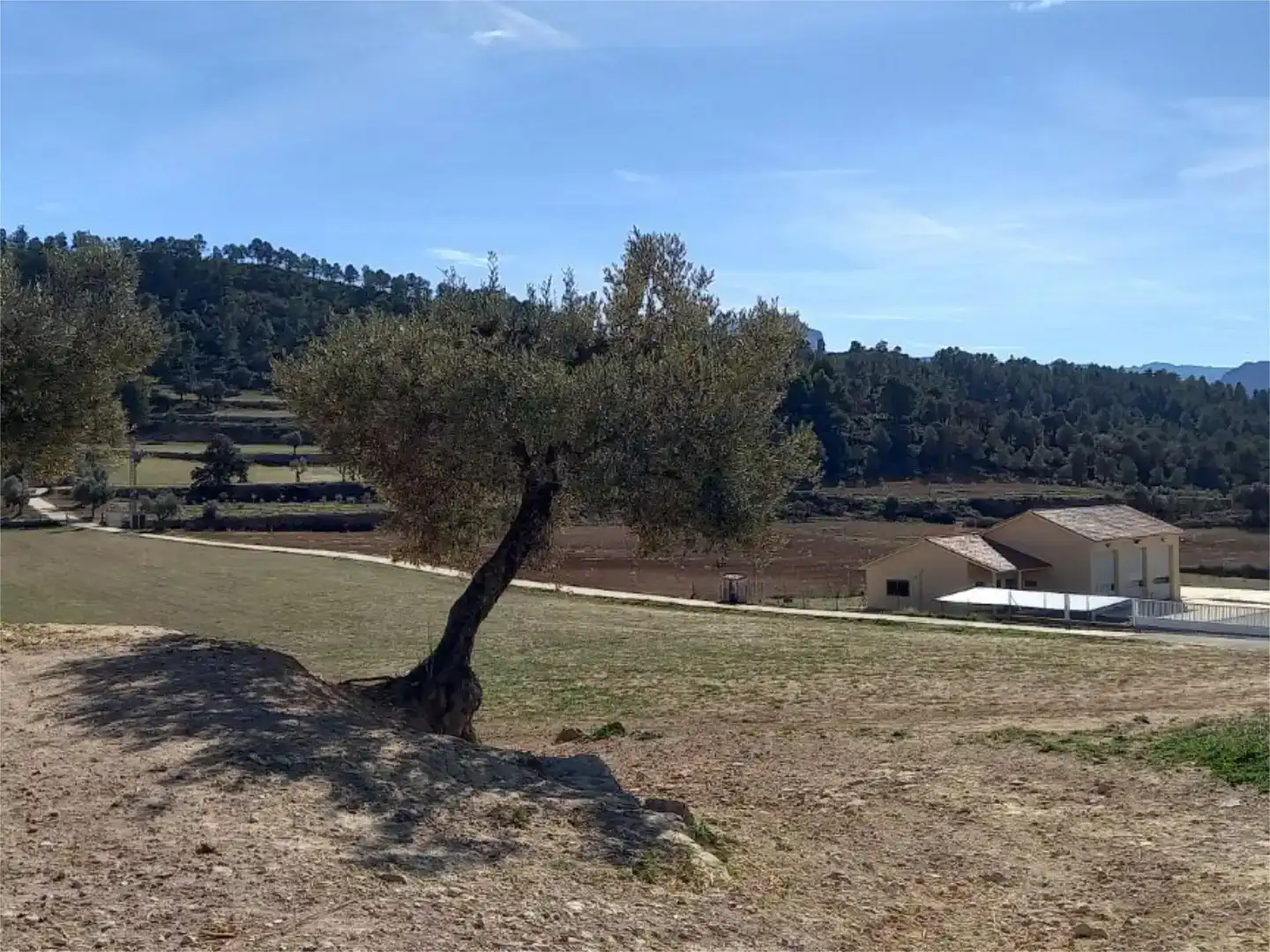 Nau industrial en venda en Horta de Sant Joan