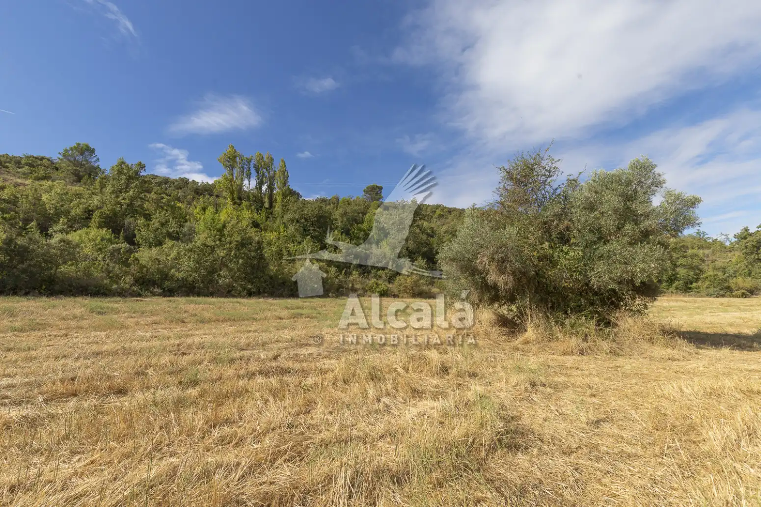Terreny rústic en venda a Hueva, imagen 16