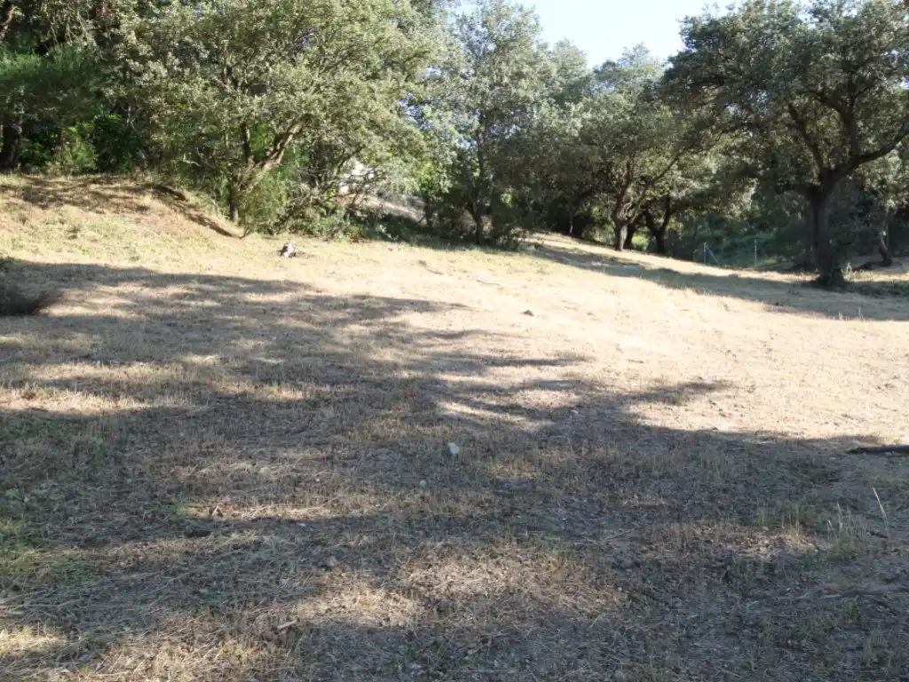 Terreny residencial en venda a Ciudalcampo, imagen 15