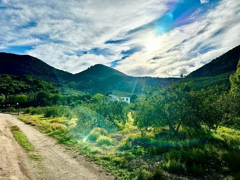Vista exterior de Finca rústica en venda en Carcabuey amb Calefacció, Traster i Piscina