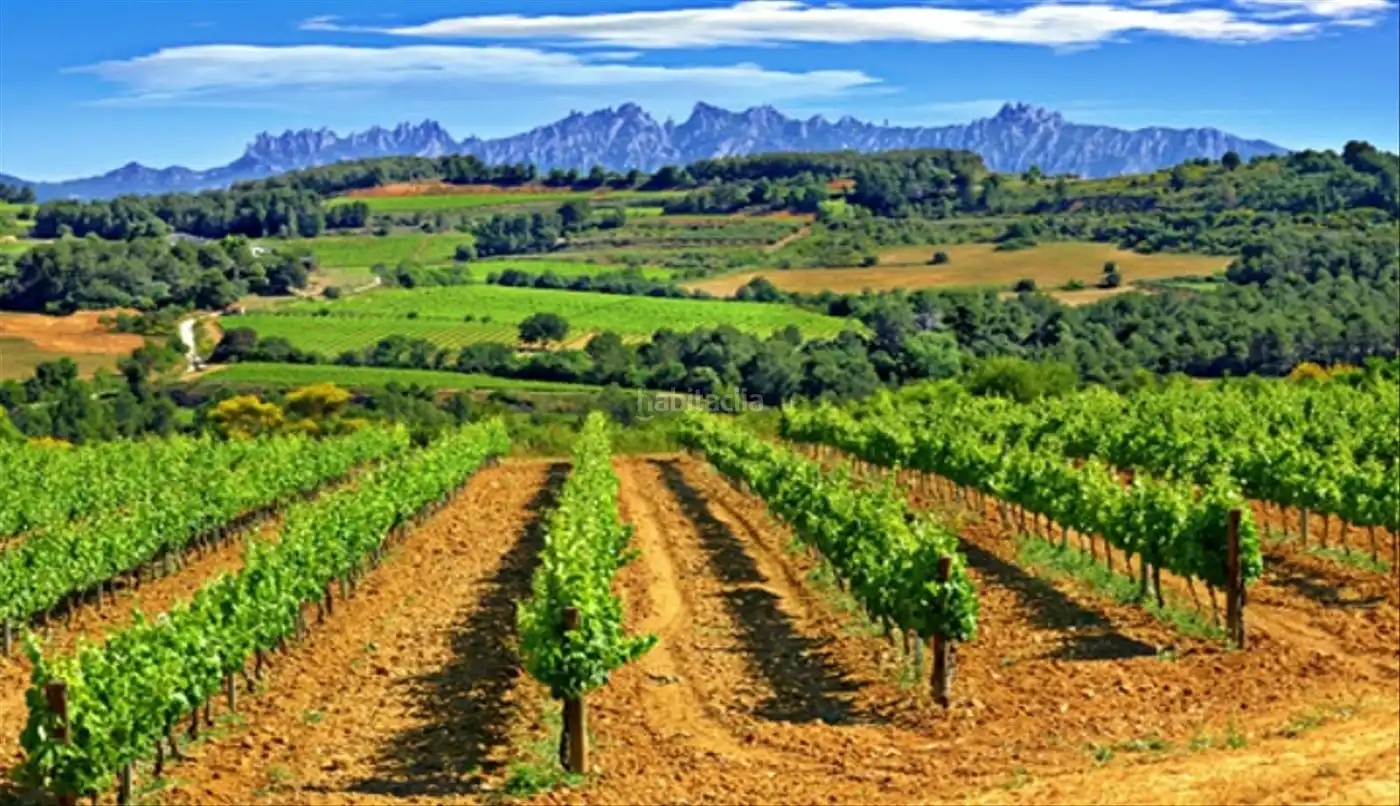 Residential land for sale in Carrer de la Verge de Montserrat 1, imagen 4