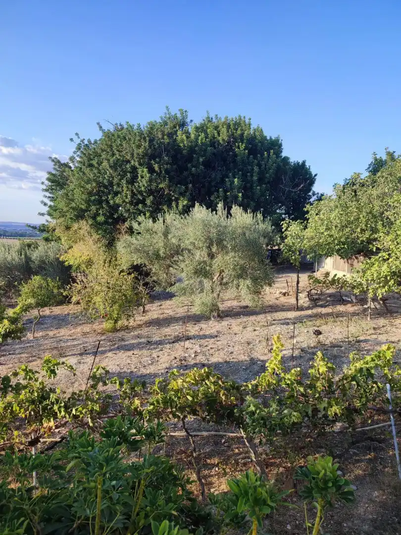 Casa rústica en venda a Arcos de la Frontera, imagen 14
