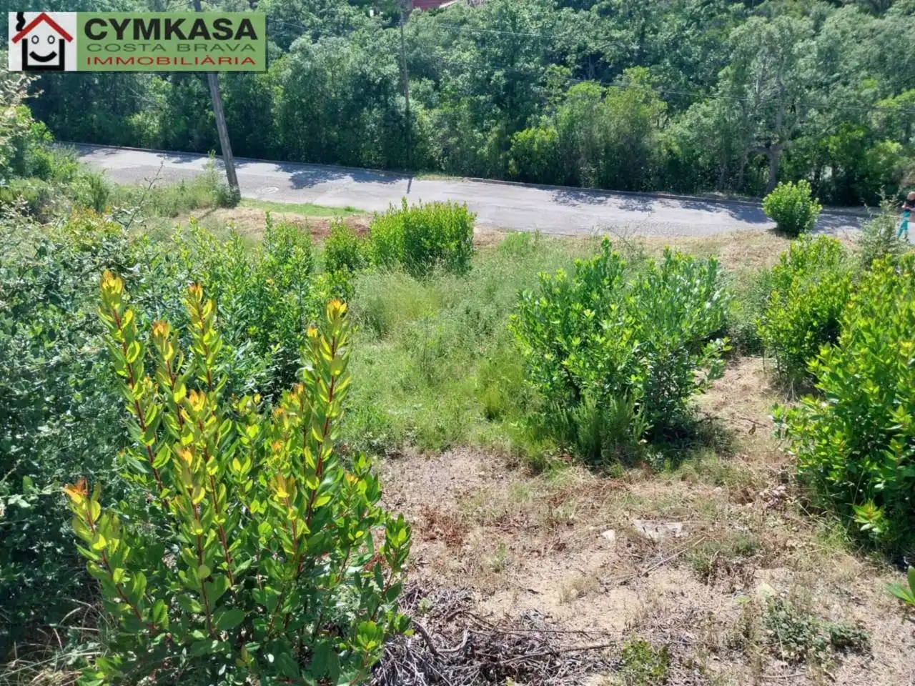 Residential land for sale in Montbarbat, imagen 5