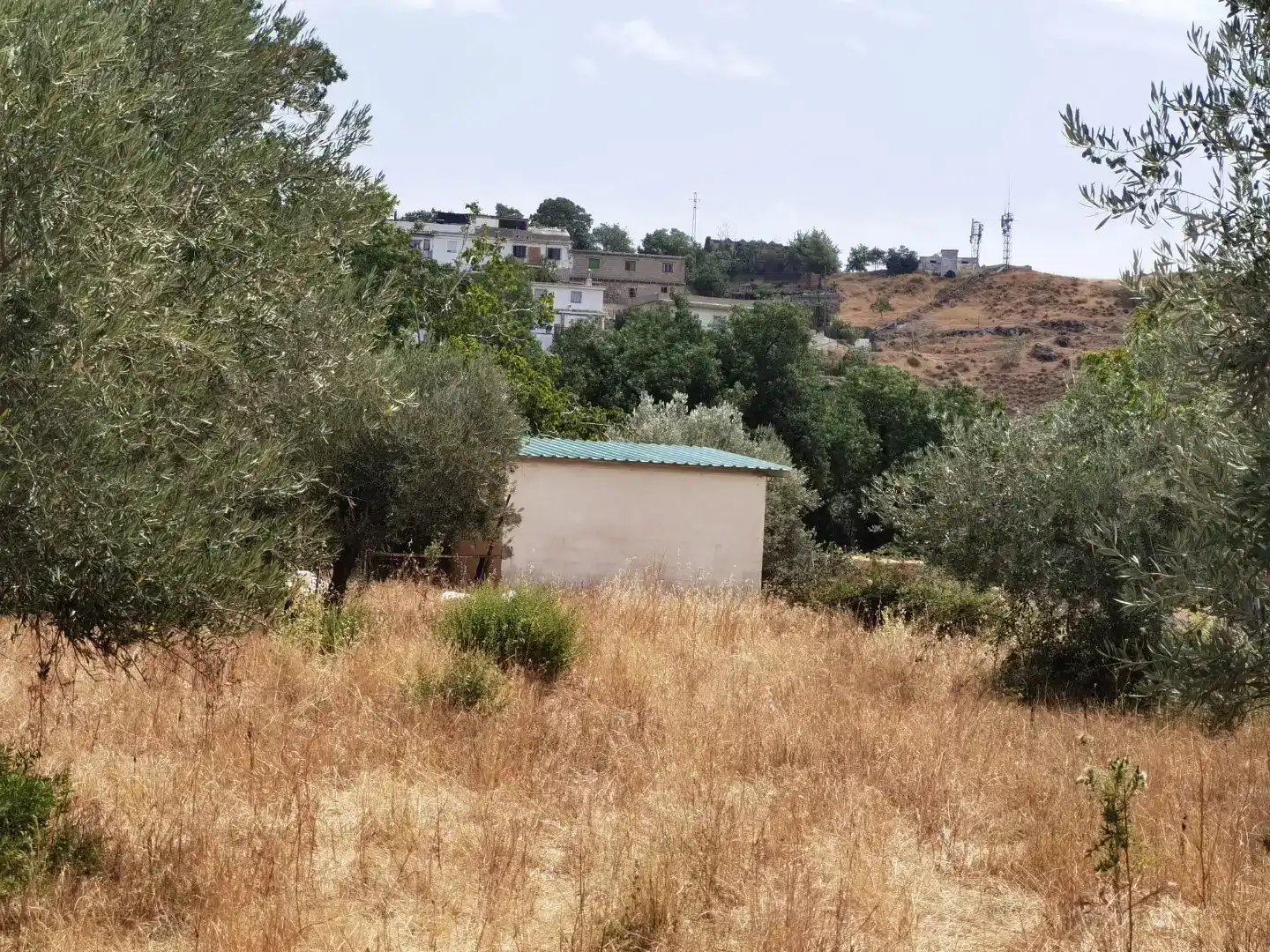 Houses for sale in Güéjar Sierra