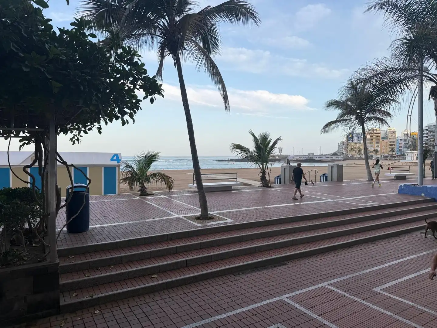 Exterior view of Flat for rent in Isleta - Puerto - Guanarteme