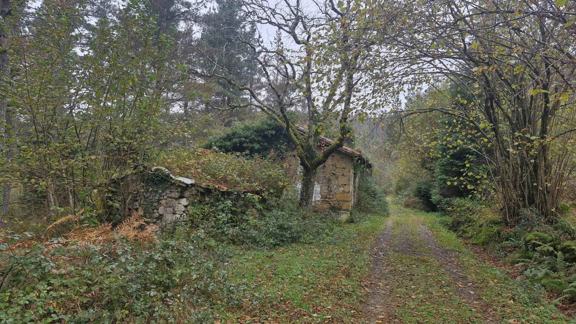 House or chalet for sale in  SARRIA, Berriz