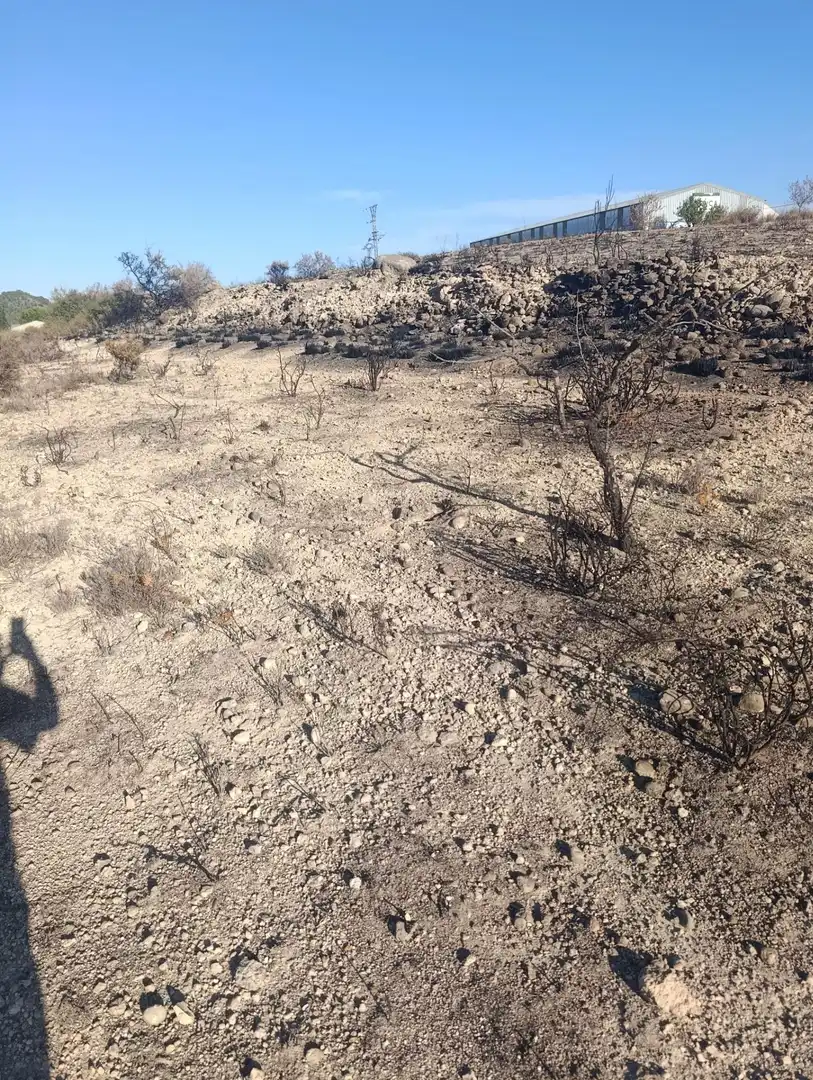 Industrial land for sale in Bullas, Murcia