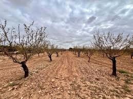 Residential for sale in  Murcia Capital