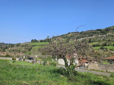 Terreni e lotti in vendita a Rural