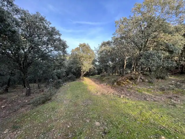 Terreno en venta en Almendral de la Cañada, Toledo