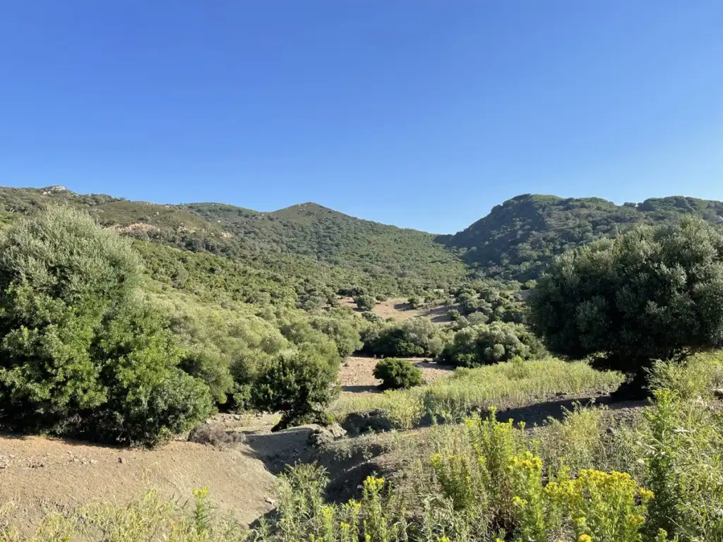 Country homes for sale in Castellar de la Frontera  with Private garden