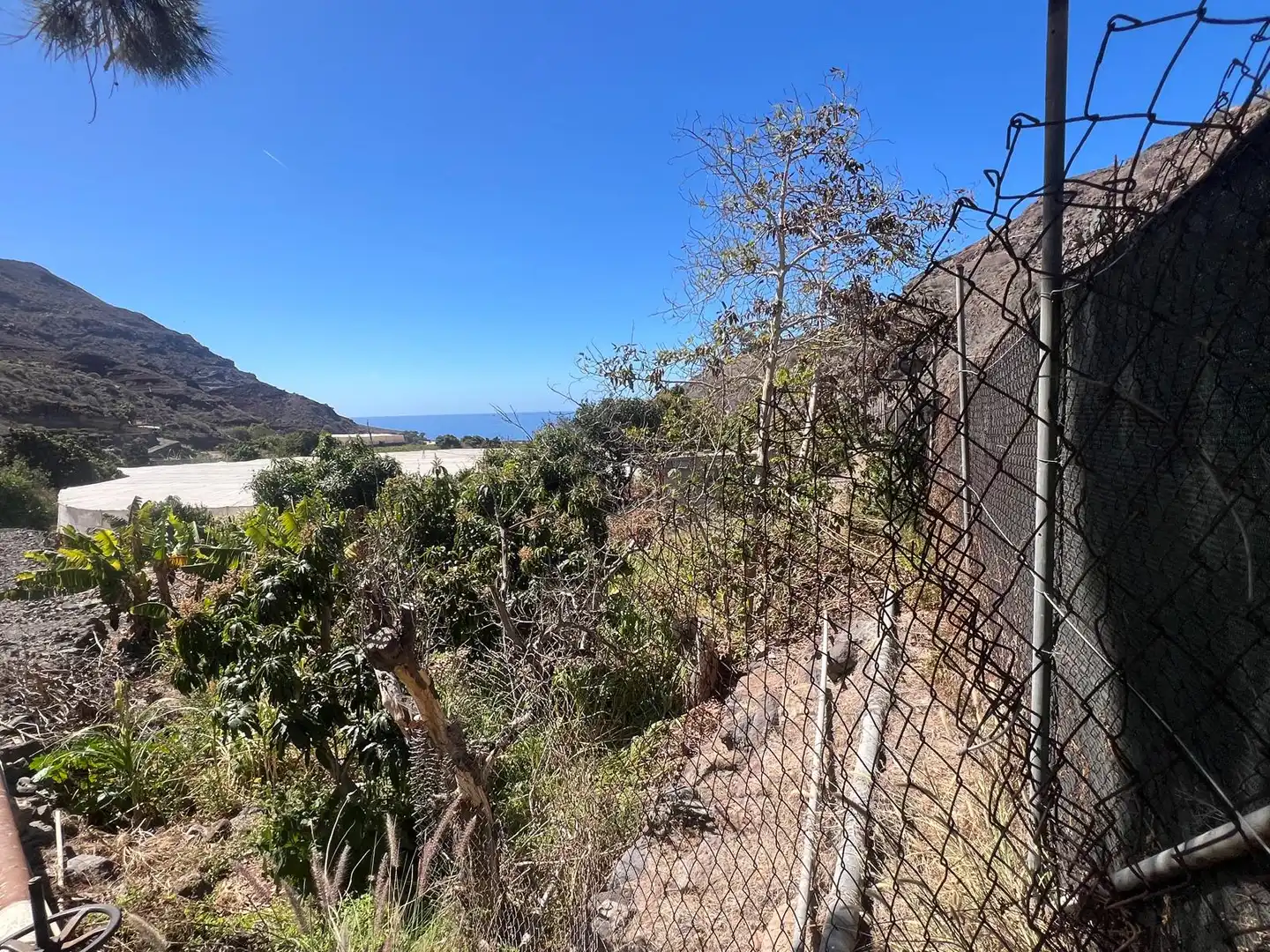 Rural land for sale in Calle Tasarte, imagen 5
