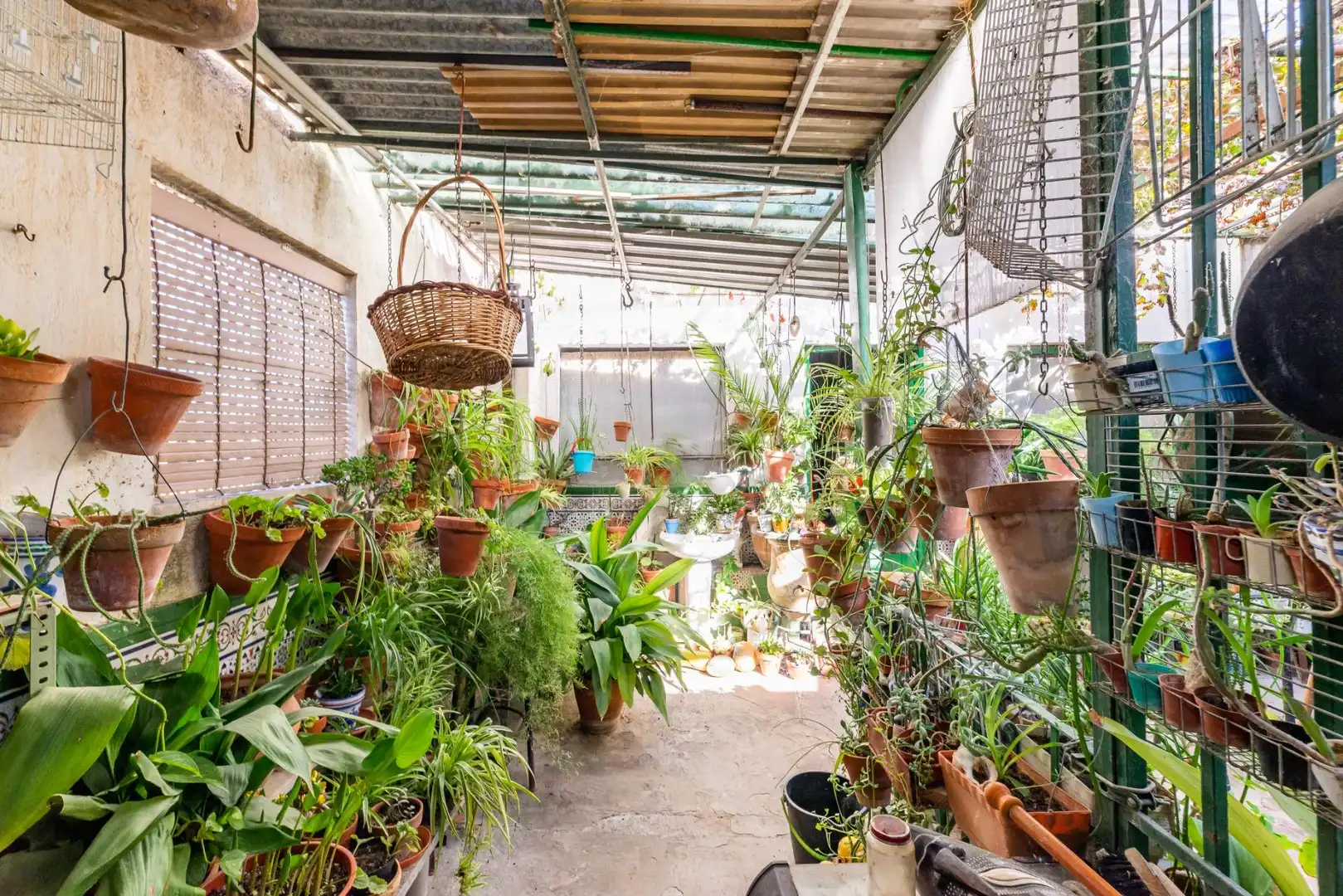 Jardí de Finca rústica en venda en Fuente Vaqueros amb Jardí privat