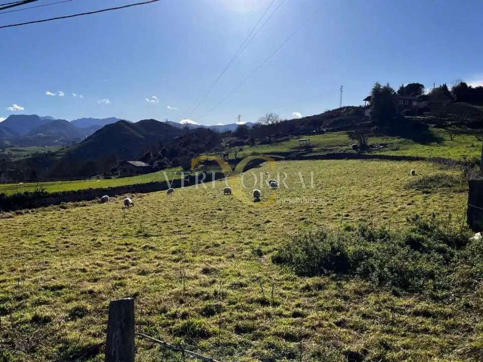 Terreno residencial en venta en Collía, imagen 2