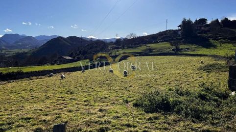Terreno de más de 3000m a 2km de Arriondas., immagine 2