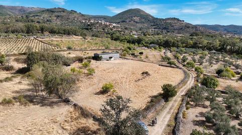Foto 4 de Terreny en venda a Camino de Arroyomolinos de la Vera, 24b, Arroyomolinos de la Vera, Cáceres