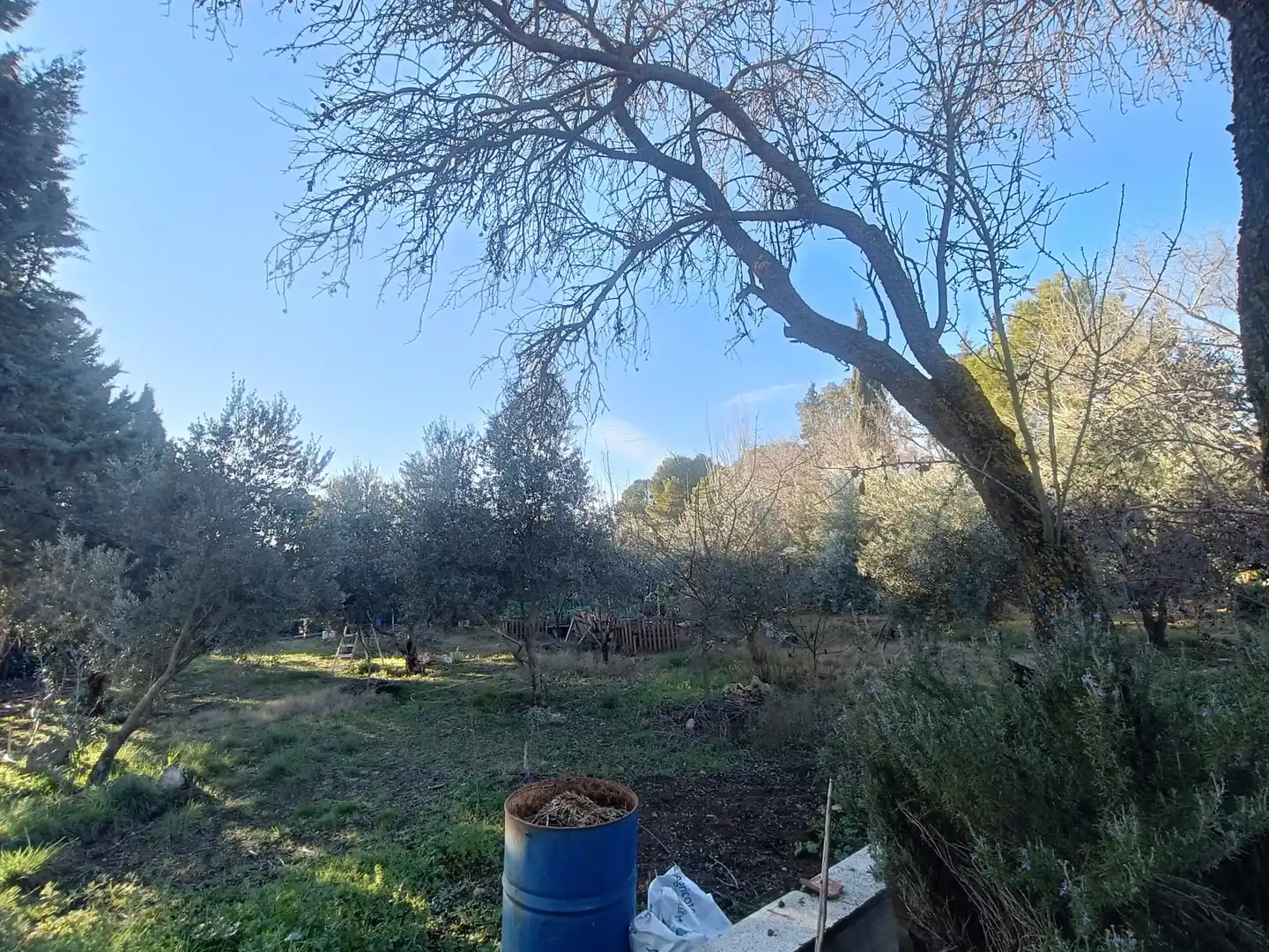 Casa o chalet en venta en Carrión de Calatrava con Jardín privado, Trastero y Amueblado