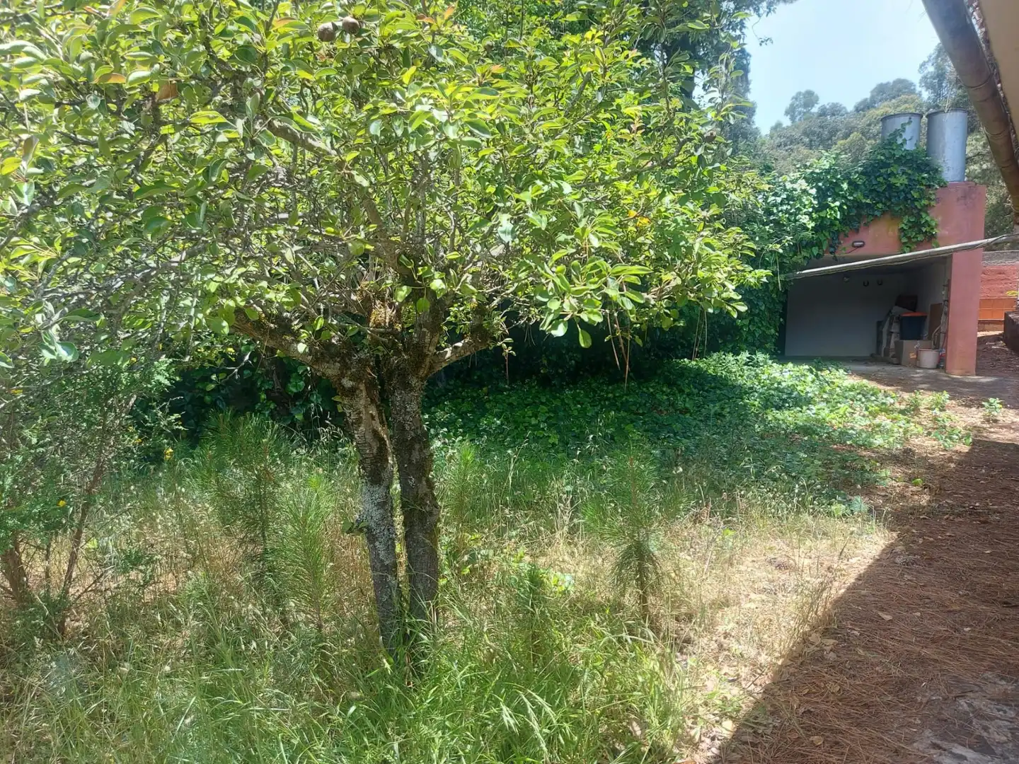 Country homes for sale in El Sauzal  with Heating, Private garden and Terrace