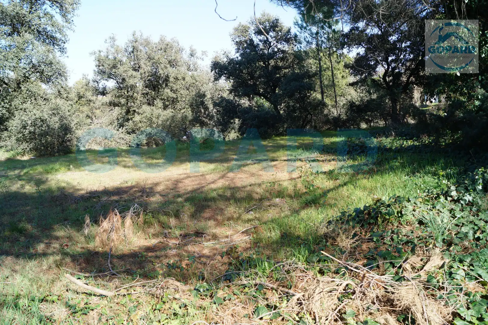 Residencial en venta en El Bosque