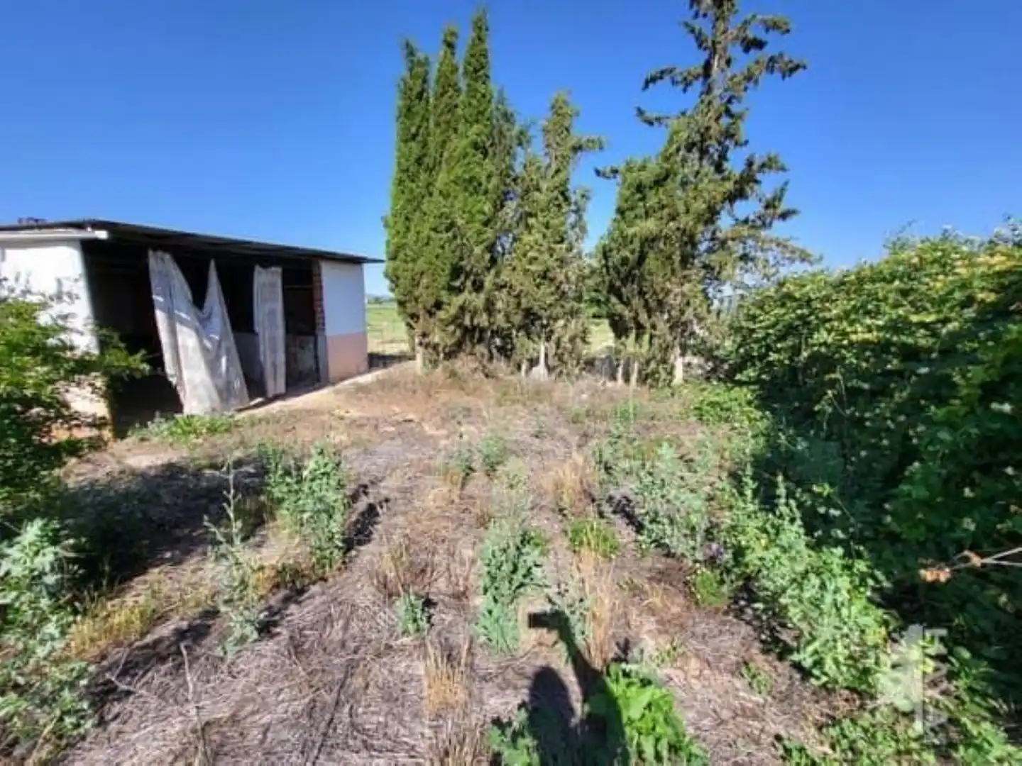 Casa o chalet en venta en Argamasilla de Calatrava con Jardín privado, Terraza y Trastero