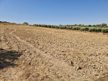 Grundstücke und Bauplätze zum Verkauf in Bonares