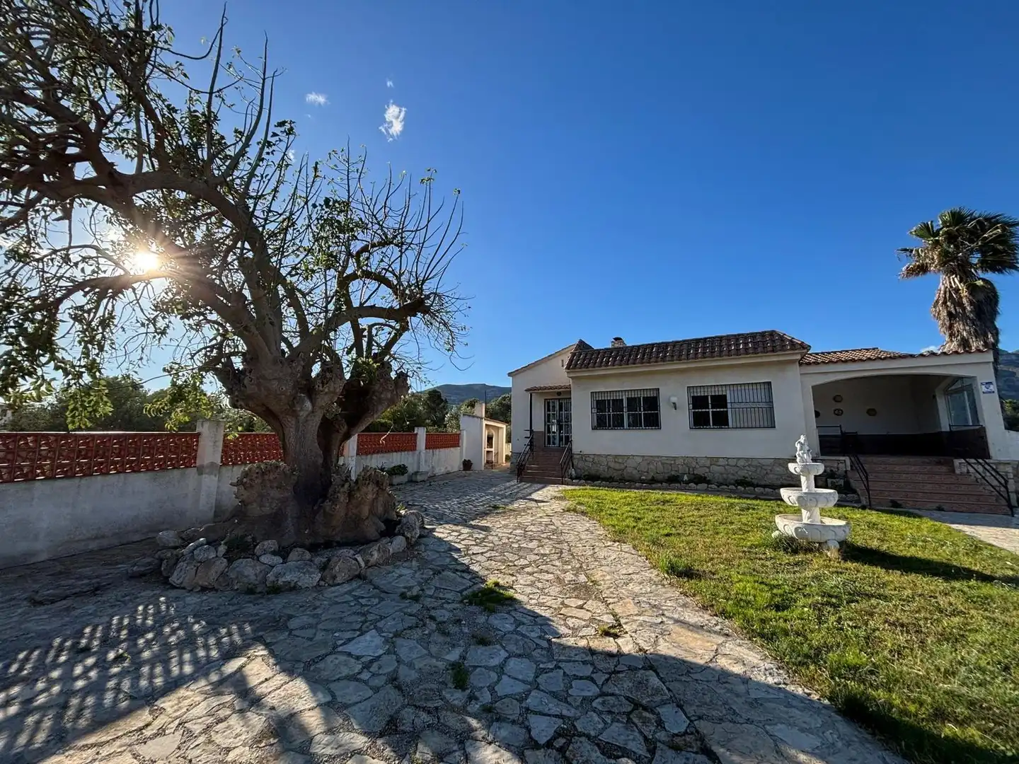Vista exterior de Casa o xalet en venda en Alcanar amb Jardí privat, Traster i Piscina