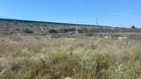 Photo 4 of Land for sale in Carretera de Agost, 41, Villamontes - Boqueres, San Vicente del Raspeig / Sant Vicent del Raspeig