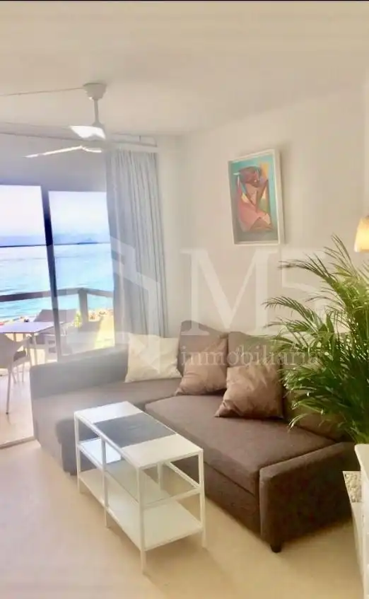 Sala de estar de Piso de alquiler en Torrox