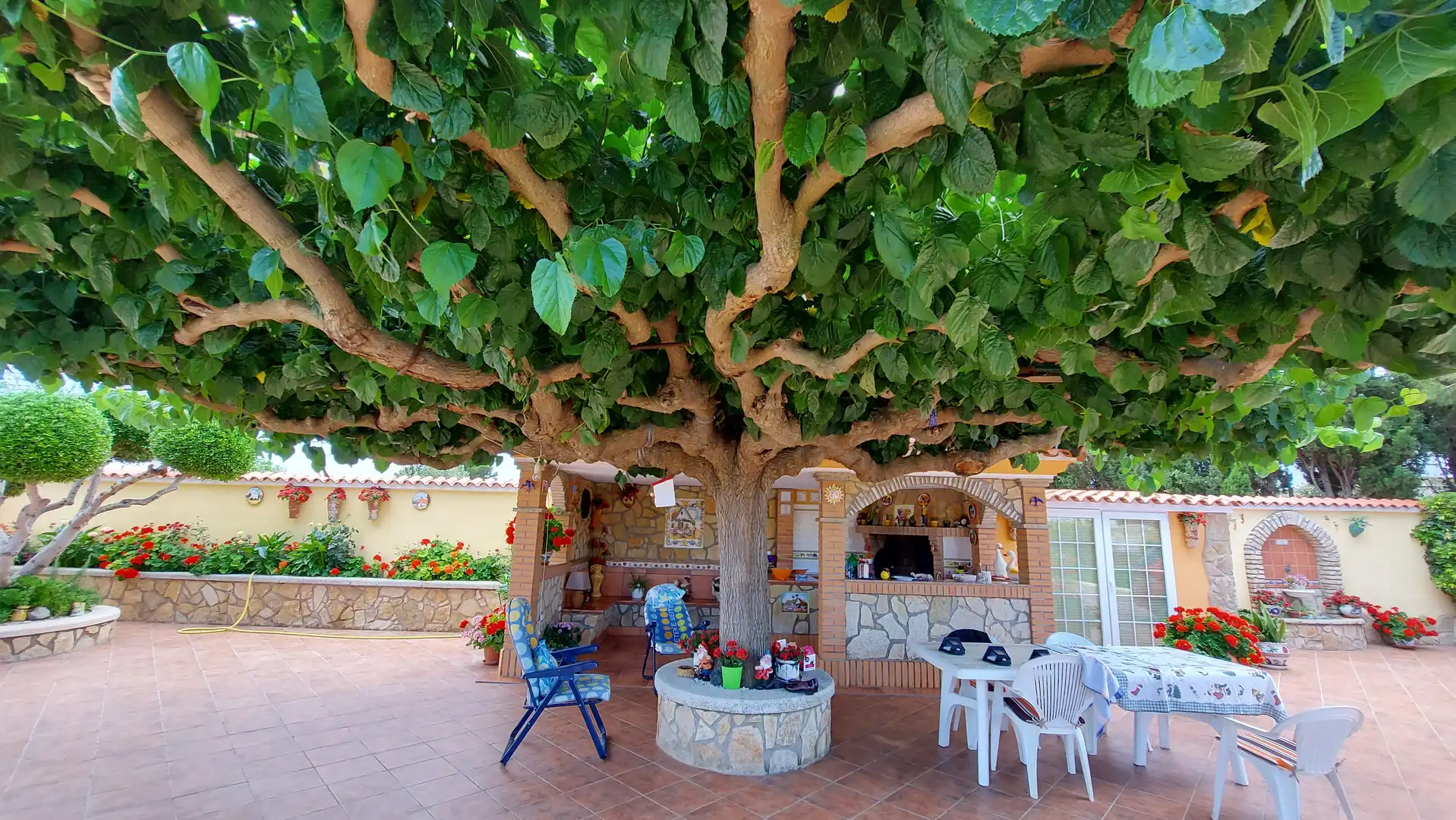Jardín de Casa o chalet en venta en Benicarló con Jardín privado, Piscina y Amueblado