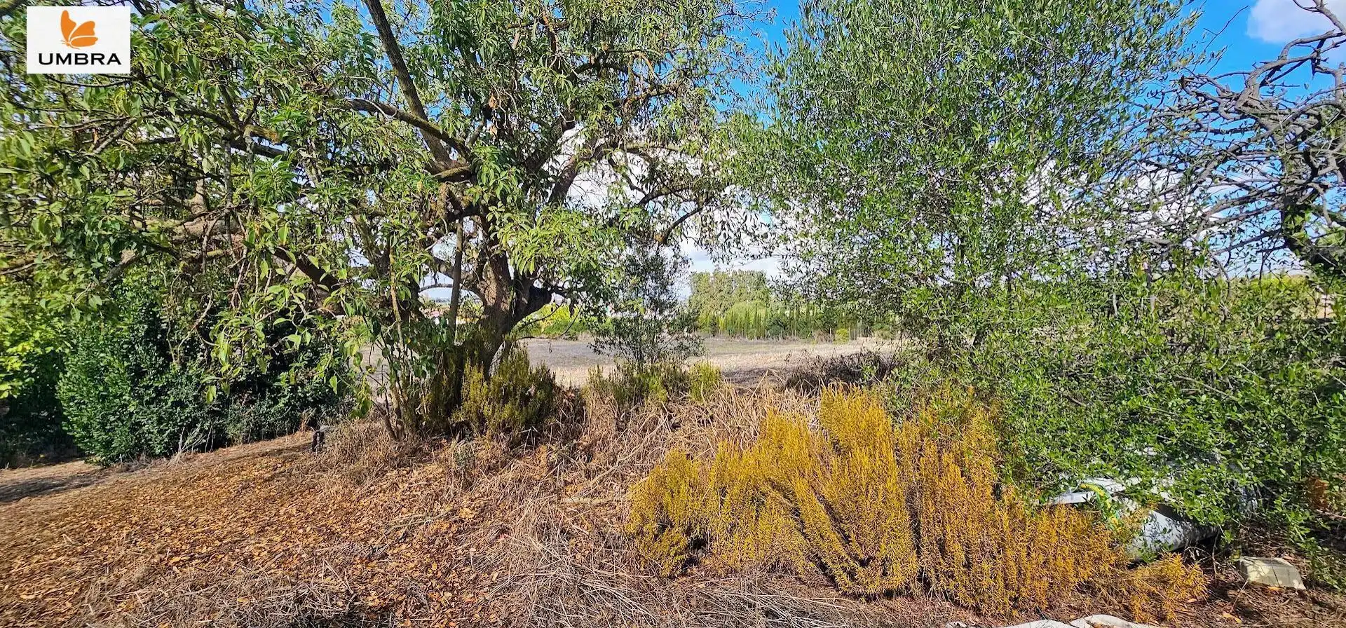 Houses for sale in Jerez de la Frontera