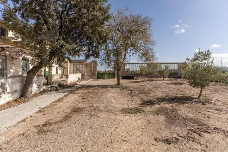 Land for sale in Alamedilla
