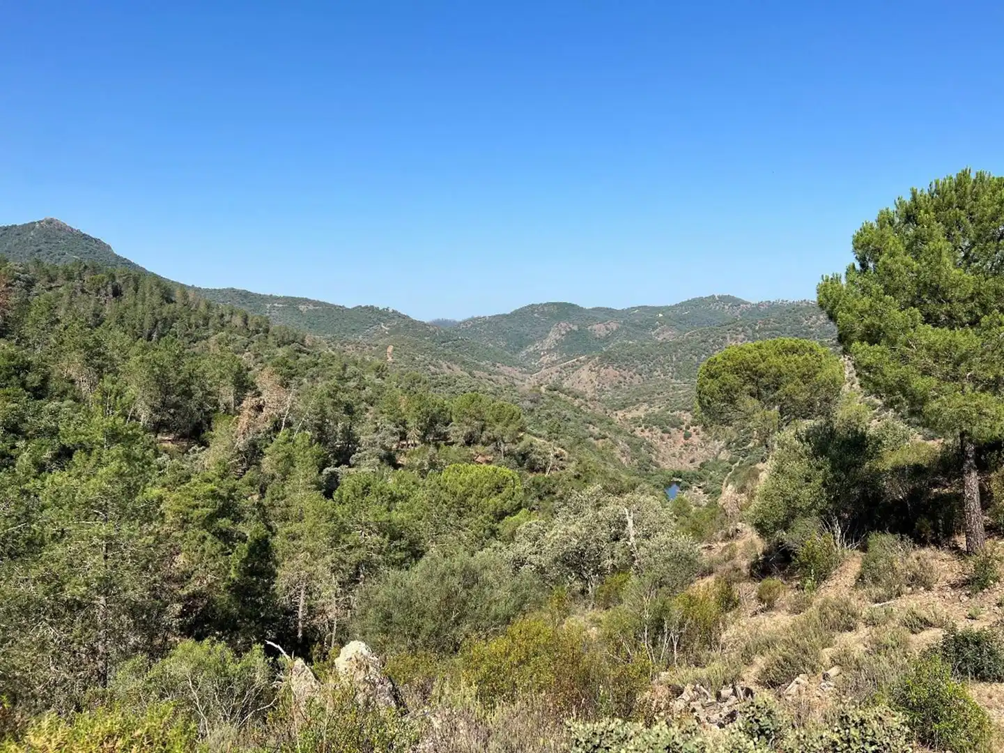 Grundstücke und Bauplätze zum Verkauf in Sureste, imagen 3