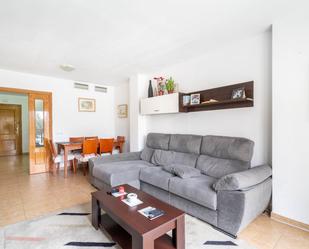 Living room of Flat for sale in Roquetas de Mar  with Air Conditioner and Heating