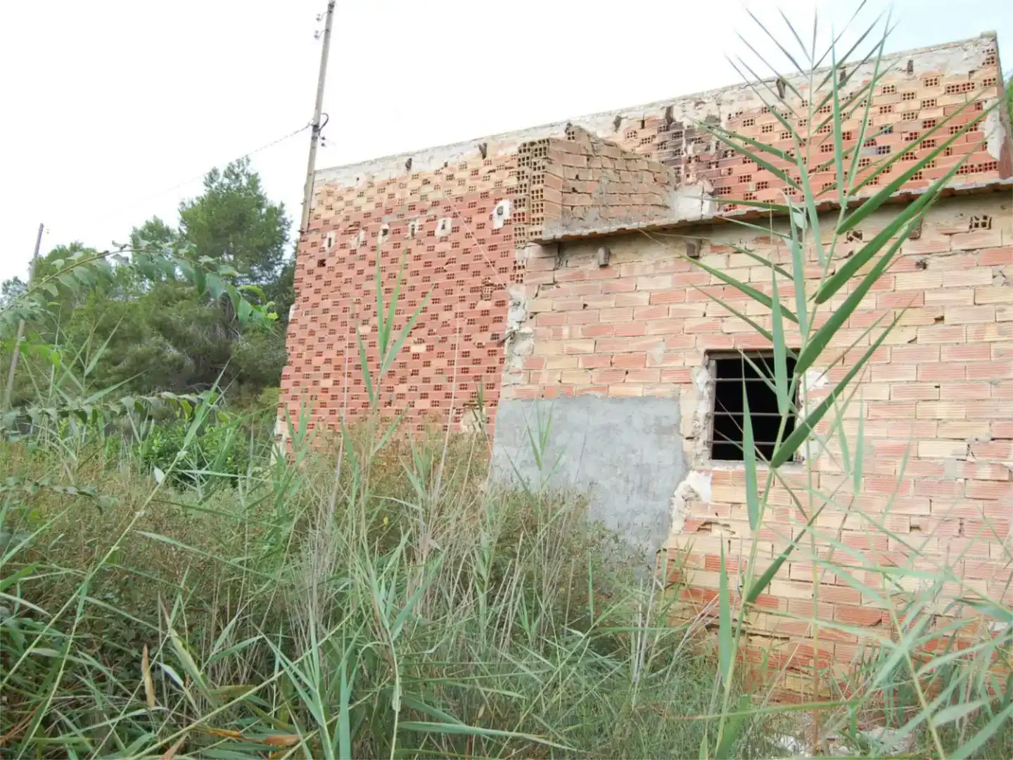 Vista exterior de Finca rústica en venda en Orihuela amb Jardí privat