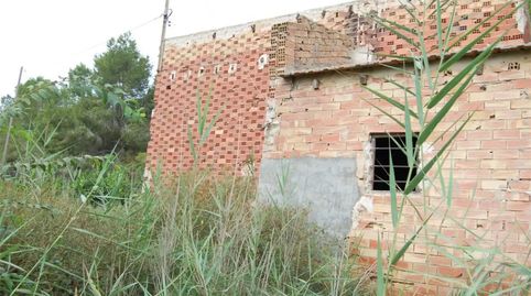 Foto 5 de Finca rústica en venda a Vereda del Cementerio, 264, Desamparados - Hurchillo - Torremendo, Orihuela