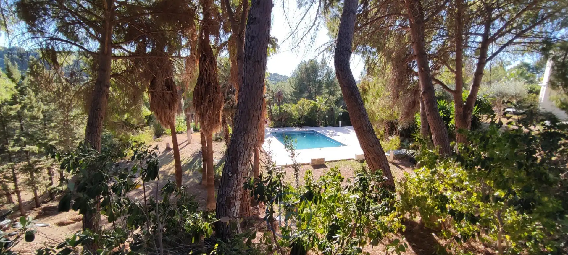 Jardín de Casa o chalet en venta en Chiva con Calefacción, Jardín privado y Terraza