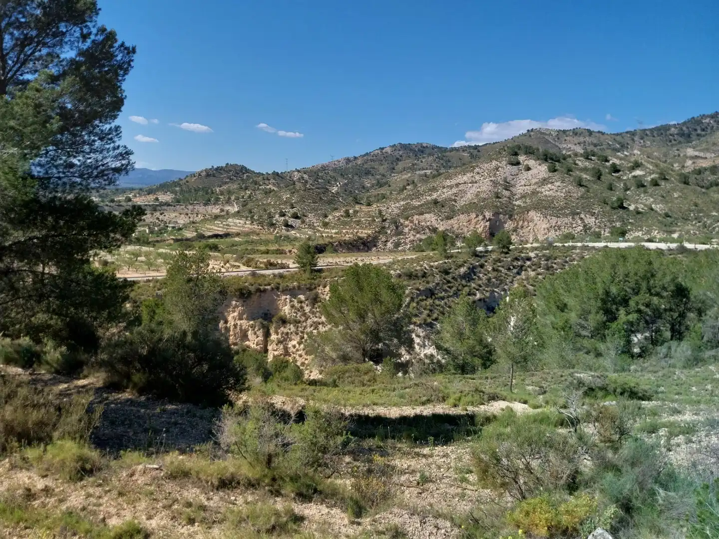 Terreno rustico in vendita a Lugar Castillo, imagen 52