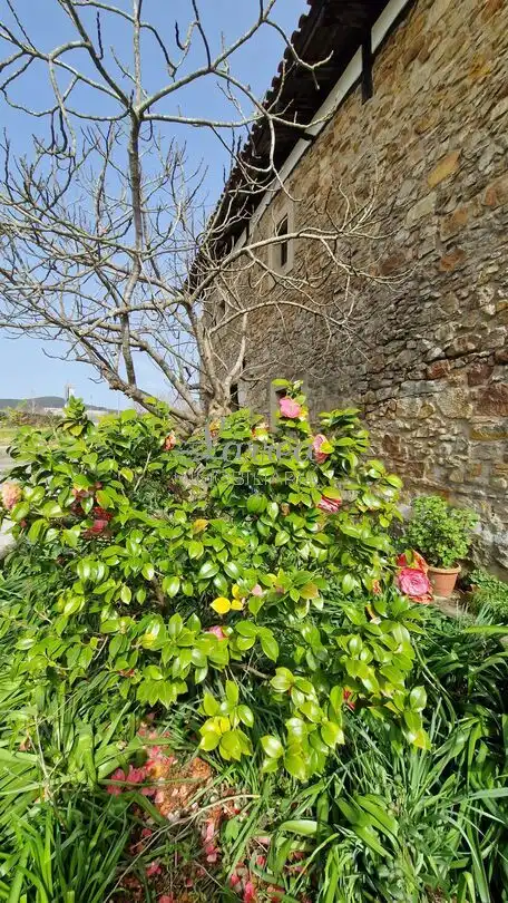Landhaus zum Verkauf in Amorebieta-Etxano, imagen 25
