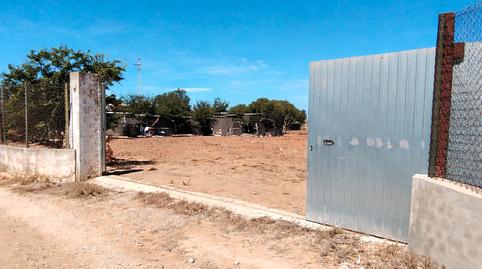 Foto 2 de Finca rústica en venda a La Jara, Sanlúcar de Barrameda