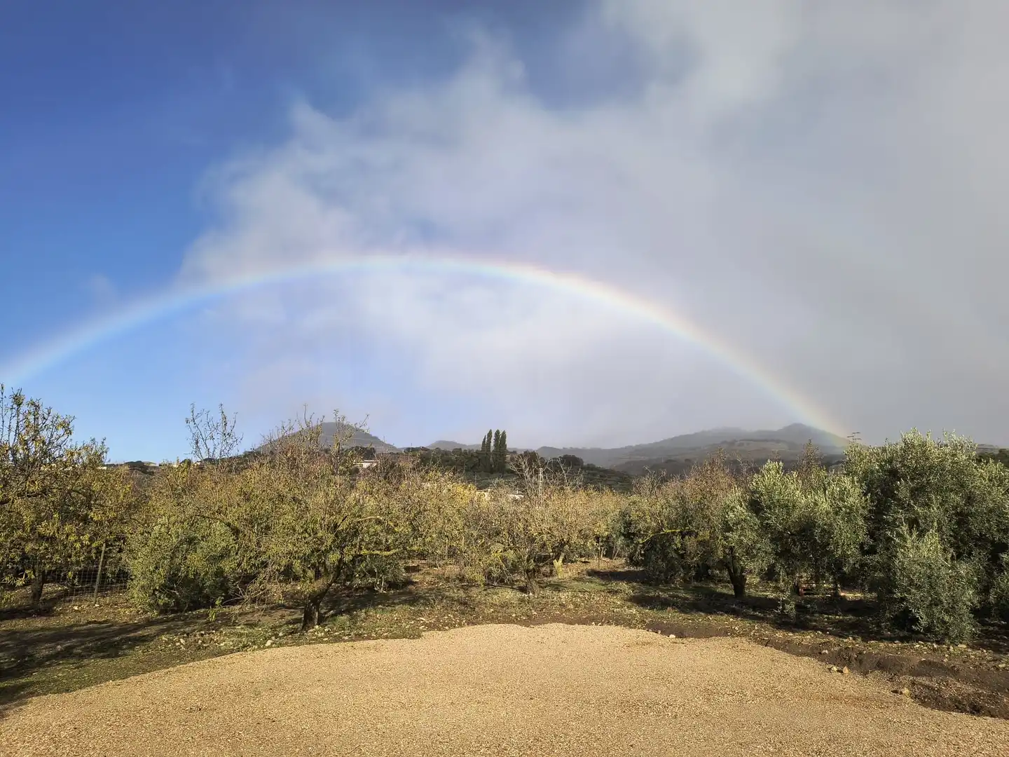 Jardín de Casa o chalet en venta en Antequera con Calefacción y Terraza