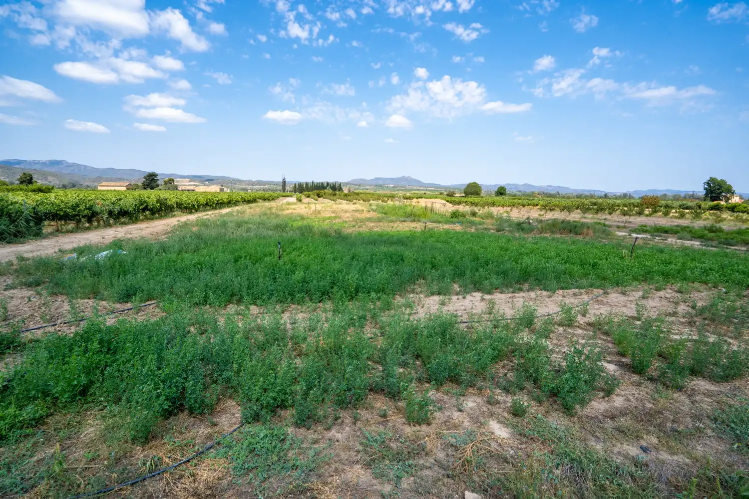 Rural land for sale in Carrer Barca