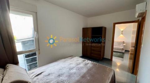 Foto 3 de Estudi de lloguer a Oliva Nova, Valencia