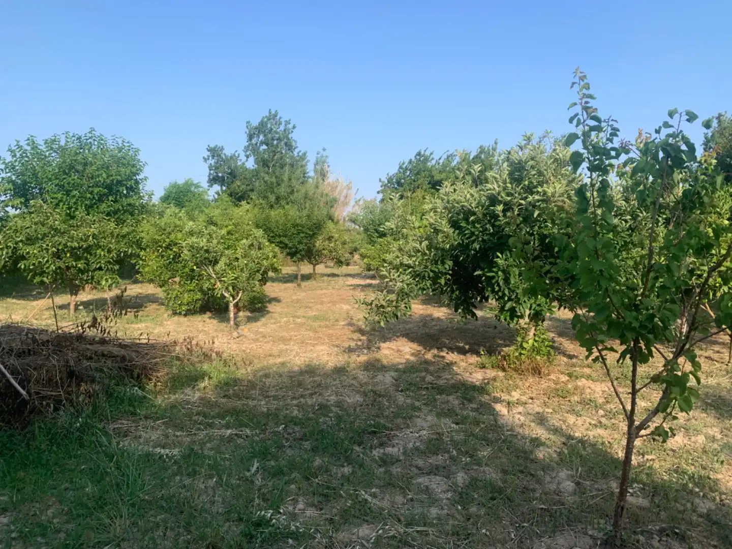 Finca rústica en venda a Alquerías