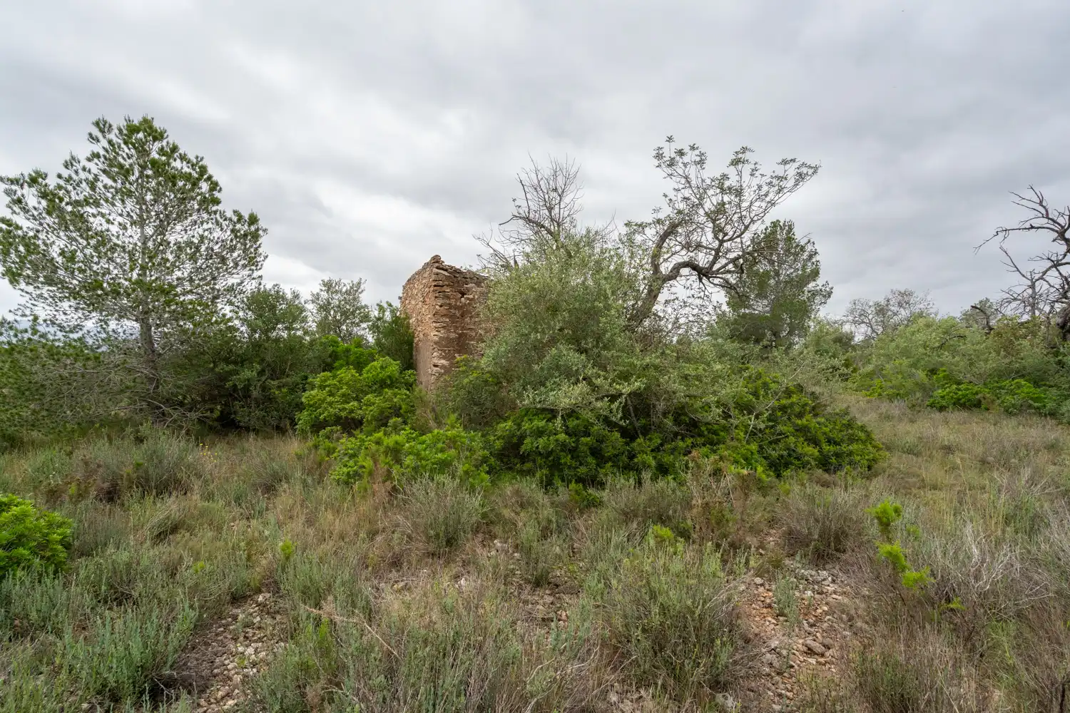 Terrain rustique à vendre à Camí Vell del Cementiri 4, imagen 3