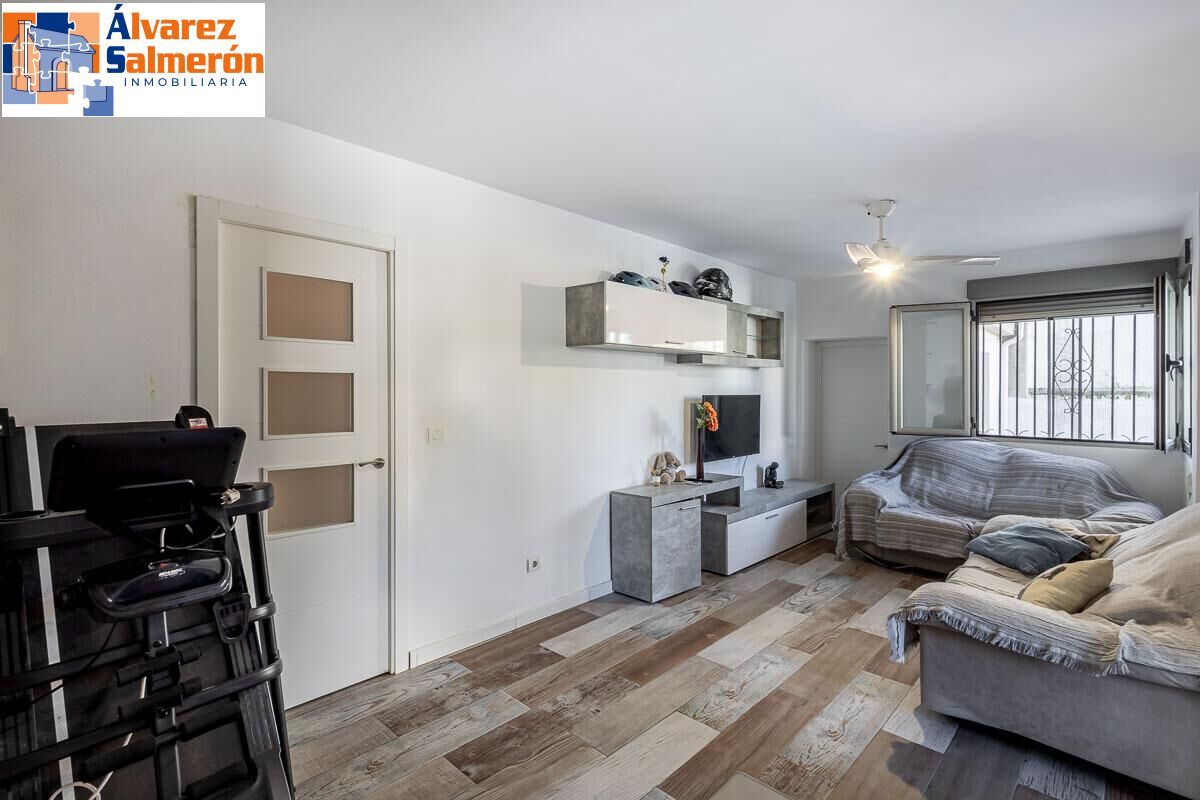 Living room of Single-family semi-detached for sale in Peligros