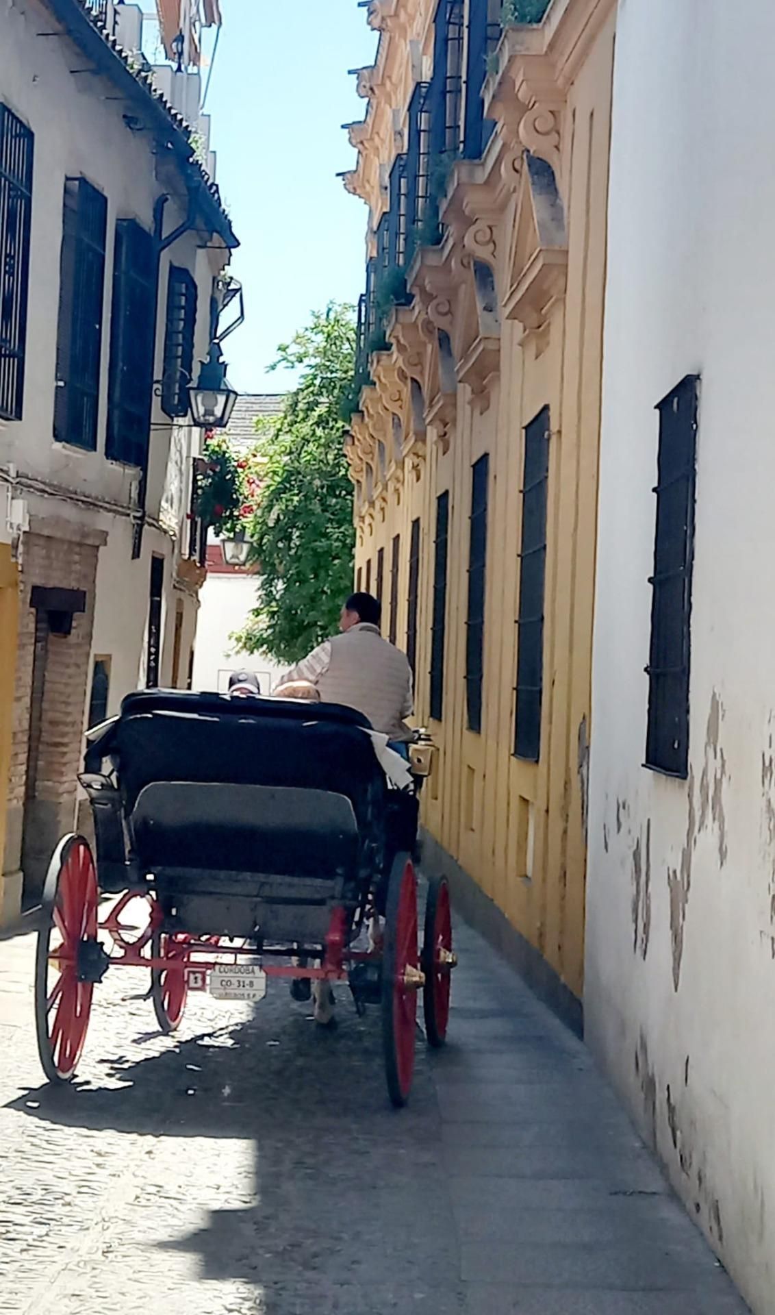 Vista exterior de Casa o chalet de alquiler en  Córdoba Capital con Aire acondicionado, Terraza y Trastero