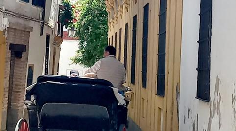 Photo 3 of House or chalet to rent in Casco Histórico  - Ribera - San Basilio, Córdoba